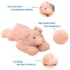 Doireum Weighted Stuffed Animals, Weighted Pig Stuffed Animal Toy Pig Plush Animals Throw Pillow Gifts for Boys Girls, 11.8 inch view 3