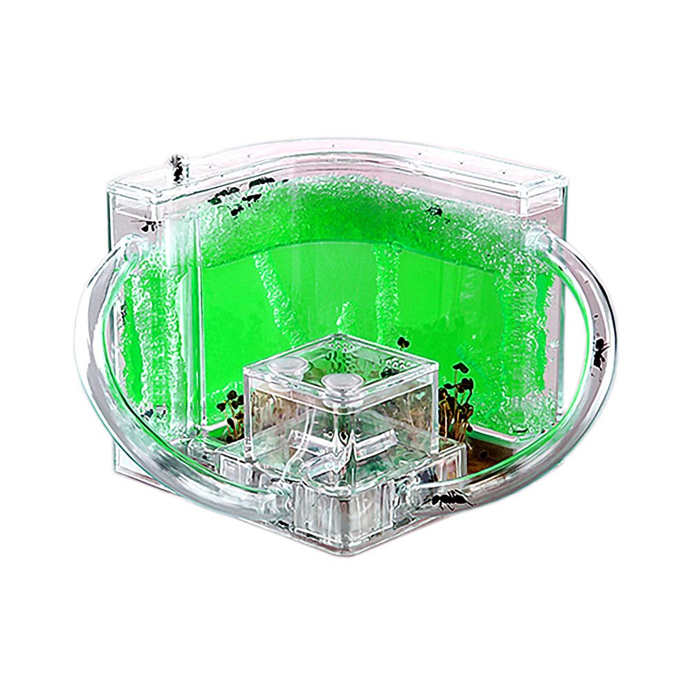 EXBEPE Ant Farm for Kids Safety and Environment Gel Ant Colony Ecosystem Terrarium, Ant Habitat Science Learning Kit(with No Ant)