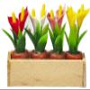 Melody Jane Dolls Houses Dollhouse Window Box with 4 Pots of Lilies Miniature Garden Accessory 1:12 view 1