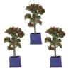 Miniature Dollhouse Plants, 3PCS Miniature Dollhouse Plants Artificial Fruit Tree Model for 1:12 Scale Dollhouse DecorationAccessories Toys view 2