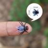 BEINME Fake Flies Halloween Crafts Fake Bugs Pranks Flies Plastic Bugs for Put On Fake Poop Real Laughs,Perfect Gag Gift (XS-Black), 0.6 x 0.5 x 0.157 inches view 2