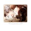 Arcana Familia Festa Regaro 08 Ash Character Acrylic Figure view 1