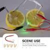 Baluue DIY Fruit Battery Science Experiment Kit Educational Electricity Project for Students with Copper Clips and Metal Clamps Teaching Hands-on Physics Skills view 2