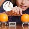 Baluue DIY Fruit Battery Science Experiment Kit Educational Electricity Project for Students with Copper Clips and Metal Clamps Teaching Hands-on Physics Skills view 3