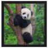 20x20 Puzzle Frame Set with Peel & Stick Puzzle Glue Sheets Black Wood - Includes Acrylic Front, Foam Backing Board, and Wall Hardware view 4