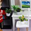 Potted Plants 1 12 Scale, Lifelike Miniature Bonsai Plant Mini Fake Plants Dollhouse Furniture 1 12 Scale Doll House Accessories for Home Decor view 4