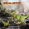 JR PARK 2Pcs Dinosaur Toys, 15.5 Large Velociraptor Green Dinosaur Action Figure, Realistic Dinosaurs Toys Gifts for Boys Girls, Birthday Gifts Christmas Decor view 2
