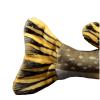 lilizzhoumax Lifelike Northern Pike Fish Stuffed Animal,Simulation Pikefish Fish Pillow Plush,Sea Creature Plush Toy, for Kids,18 inch Long Yellow view 4