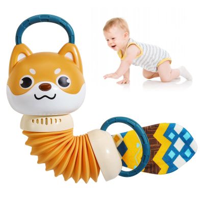 Zooawa Toddler Toys 18 Month+ Musical Christmas Toys for 2-4 Years Boys Girls Gifts, Toddler Kids Learning Toy Baby Sensory Toy, Animal Toys Dog Accordion Early Educational Music Sound Toys for Travel