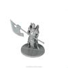 Steamforged Games Dark Souls The Role Playing Game: Dread Knights of Renown Miniatures & Stat Cards view 4