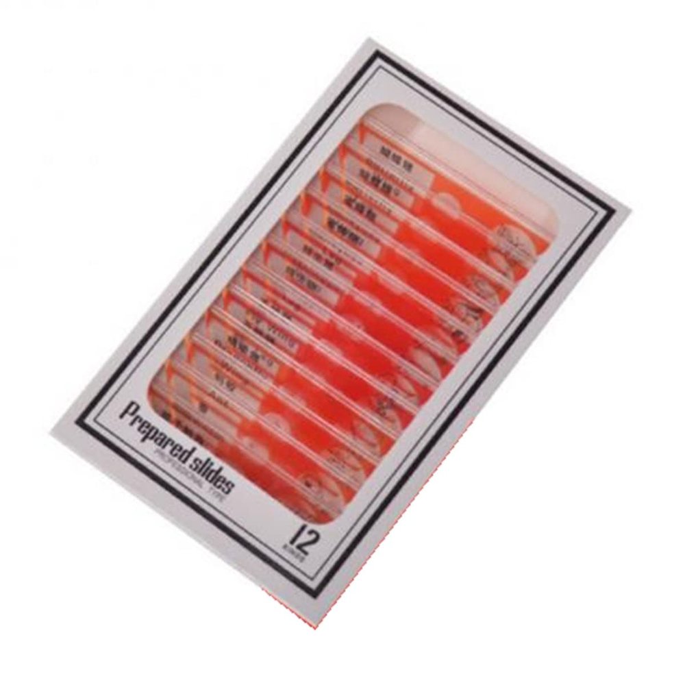 Microscope Kit 12pcs Plastic Prepared Microscope Slides Biological Experiment Accessories Microscope Lens Adapters (Color : Red)