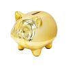 Ceramics Pig Piggy Bank for Adults, Saving Money Bank for Kids, Cute Coin Bank Decorative for Home, Kid's Birthday Gifts (AGold -Piggy1) view 1