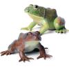 SCAHOW Realistic Tree Frog Figure Plastic Hand Painted Bullfrog Figurine Educational Rubber Animal Model Toys for Kids Children view 1