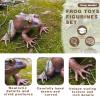 SCAHOW Realistic Tree Frog Figure Plastic Hand Painted Bullfrog Figurine Educational Rubber Animal Model Toys for Kids Children view 3