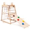 Ascism Jungle Gym Indoor (8 in 1) Wooden Indoor Playground, Toddler Wooden Climbing Toys, Montessori Playset, Gym with Slide, Climbing Net, Swing, Tent, Gymnastics Ring view 2