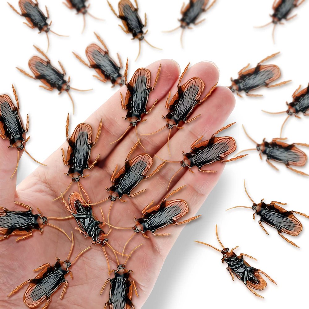 BEINME Prank Fake Roaches, Prank Stuff Fake Rubber Cockroach Fake Bugs Plastic Bugs Novelty Cockroach for Prank Scare(20 Pcs), M- 2*0.8in