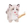 CU-MATE Interactive Pet Ragdoll Cat,Electric Plush Toy Cat,Robot Stuffed Cat with Walking/Nodding/Tail Wagging/Barking/Drinking Milk, Gift for Girls Boys view 1