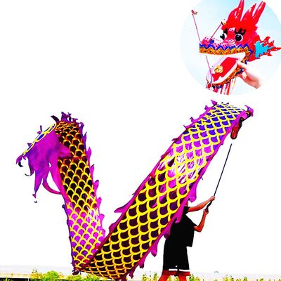 Golden Dragon Poi with 3D Real-Like Plastic Dragon Head and Swing Rope Combo, Chinese Dragon Dance Wulong Flowy Flinging Dragon Body Ribbon Streamer Set (Purple)