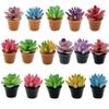 Cayway Dollhouse Plant Miniature 16 PCS Artificial Plant Tiny Bonsai Model Mini Flowerpot Fake Succulent Doll House for Garden Dollhouse Decorations view 1