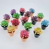 Cayway Dollhouse Plant Miniature 16 PCS Artificial Plant Tiny Bonsai Model Mini Flowerpot Fake Succulent Doll House for Garden Dollhouse Decorations view 4