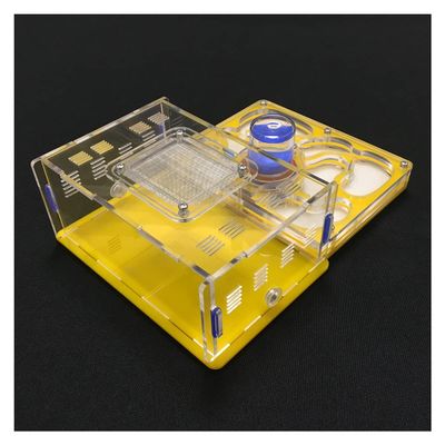 MTFZD Ant Farm Acrylic Ant Nest Ants Farm AntHouse Villa Ant Tower Display Box Educational Formicarium Habitat