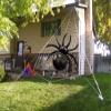 33" Spider Foil Balloons - Halloween Black Spiders Animal Spooky Balloon for New Year Party Decoration Supplier view 2