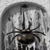33" Spider Foil Balloons - Halloween Black Spiders Animal Spooky Balloon for New Year Party Decoration Supplier view 3