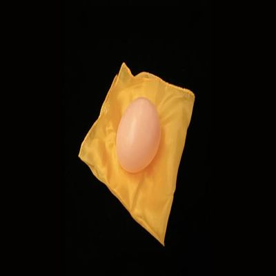 Silk to Egg (Brown/with Yellow Silk) by Alan Wong - Trick