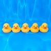 3 inch Kalafona Rubber Yellow Ducks/ Ducky No Hole Waterproof No Squeak Bath/Pool/Water Float Toy Stuffed with Sealed Plug Without Hole for Kids in Bulk view 4