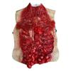 Bulex 3D Scary Halloween Zombie Costumes Bloody Halloween Fake Severed Body Parts Organs Dead Zombie Decoration Creepy Horror Cosplay Prop view 2
