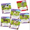 Schmidt Spiele 51449, Horse Couples, Travel Game, Bring Me with Game in Metal Tin, Colourful view 2