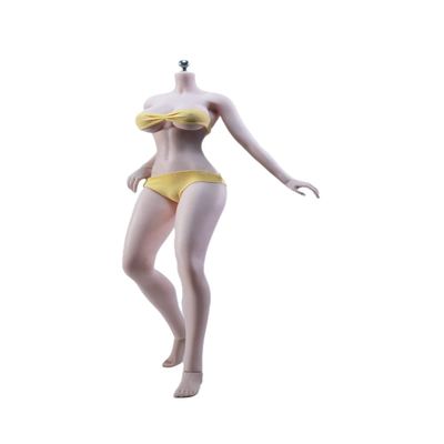 1/6 Scale Female Body,12inch Female Super Flexible Pale Skin Large Bust Tall and Slender Seamless Action Figure Body Collection (S41A No Head Sculpt)