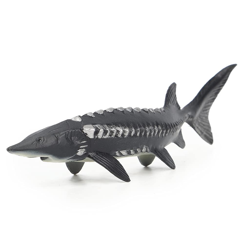 SUNGOOYUE Simulated Fish Model Toy, Portable Fake Sturgeon Fish Model Artificial Toy for Home Decoration(M-1528 Chinese Sturgeon)