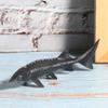 SUNGOOYUE Simulated Fish Model Toy, Portable Fake Sturgeon Fish Model Artificial Toy for Home Decoration(M-1528 Chinese Sturgeon) view 4