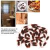 100PCS Fake Cockroach Toy, Prank Fake Roaches, Novelty Plastic Cockroach Toys Look Real, Scary gogga Plastic insect  for Halloween, Party Decoration, April Fool's Day, Prank Fake Roaches view 4