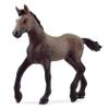 Schleich Horse Club Realistic Paso Peruano Foal Horse Figurine - Detailed Horse Toy, Durable for Education and Imaginative Play for Girls and Boys, Gift for Kids Ages 5+ view 1