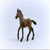 Schleich Horse Club Realistic Paso Peruano Foal Horse Figurine - Detailed Horse Toy, Durable for Education and Imaginative Play for Girls and Boys, Gift for Kids Ages 5+ view 4