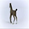 Schleich Horses 2023, Horse Club, Horse Toys for Girls and Boys Cheval de Selle Francais Foal Horse Toy Figurine, Ages 5+ view 3