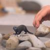 Schleich Wild Life - Marine and Ocean Wild Animal Toys for Kids and Toddlers, Otter Toy, Ages 3+ view 2