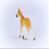 Schleich Horses 2023, Horse Club, Horse Toys for Girls and Boys Haflinger Foal Horse Toy Figurine, Ages 5+, Multi view 3
