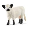 Schleich Farm World Realistic Galloway Cow Figurine - Highly Detailed and Durable Farm Animal Toy, Fun and Educational Play for Boys and Girls, Gift for Kids Ages 3+ view 1