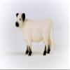 Schleich Farm World Realistic Galloway Cow Figurine - Highly Detailed and Durable Farm Animal Toy, Fun and Educational Play for Boys and Girls, Gift for Kids Ages 3+ view 4