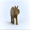 Schleich Wild Life Realistic Baby Indian Rhinoceros Figurine - Authentic and Highly Detailed Wild Animal Toy, Durable for Education and Fun Play for Kids, Perfect for Boys and Girls, Ages 3+ view 3