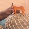 Schleich Wild Life Realistic Female Caracal Toy Figurine - Authentic and Highly Detailed Animal Toy, Durable for Education and Fun Play, Perfect Toy for Boys and Girls, Ages 3+ view 2