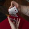 Svengali Butterfly Playing Cards Version 2 (Red) by Ondrej Psenicka view 2