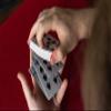 Svengali Butterfly Playing Cards Version 2 (Red) by Ondrej Psenicka view 3
