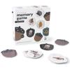 Wee Gallery Memory Game - Woodland Animals and Plants - Brain Building Matching Activity - Animal Recognition, Motor Skills, Creative Play, and Problem Solving for Children view 1