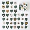 Wee Gallery Memory Game, Jungle Animals and Nature, Montessori Toy and Brain Games for Kids, Educational Activity for Toddlers and Preschool Learning, Develops Focus and Creative Thinking view 2
