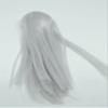 1/6 Scale Woman Hair Wig Multi Color for 12" Female HT Kumik Head Sculpt Doll (Silver Straight) view 1