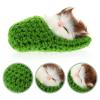 Ciieeo in Slippers Cats Doll Toy Mini Kitten in Shoe with Meows Sounds Sleeping Kitten Toy Decors for Home Table Car Decor Kids (Green) view 4
